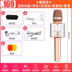 웅장하게 울리는 가정용 블루투스 노래방 무선 마이크 와이어리스 집에서 공연용 홈노래방 자동차, 샴페인 골드 무료 보관함 + 이어폰 + 충전 케이블 + 녹음 케이블 + 밀 덮개