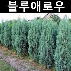 2ebb27b0c6c2be87a13683e46b0bddd85bf414f12522e7d5f9e90e89d7d6.jpg