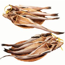 통통하고 육질이 단단한 동해바다 집나간 반건코다리 8마리 / 맛난 제수용생선 싱싱한 대구, 1개