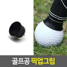 빨판공