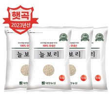 23년산 대한농산 국산 늘보리 20kg(5kgx4) / 박스포장 대용량, 4개