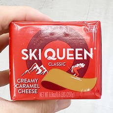 스키퀸브라운치즈