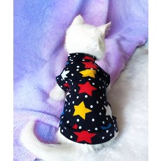 소잉디자이너펫의상