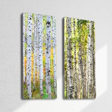 데코밍샵폼아크릴액자18CmX38Cm_복을부르는자작나무_노프레임액자_af280