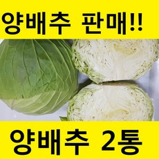 리허브양배추