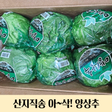 산지직송 국내산 양상추 6통 12통 아삭양상추 양상추 국내산양상추 개별포장양상추 식자재양상추 업소용양상추 카페용양상추, 6통(양상추), 1개, 1kg