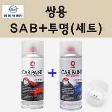 sab700carrybag