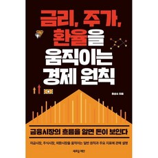 금리 주가 환율을 움직이는 경제 원칙 : 금융시장의 흐름을 알면 돈이 보인다, 홍성수 저, 새로운제안