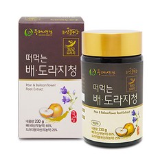 두레생협 100% 국내산 무농약 배도라지청 230g 진액 목 기관지에좋은음식, 1개