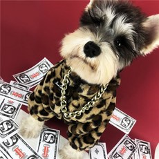 몽클레어강아지