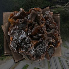 목이버섯팩