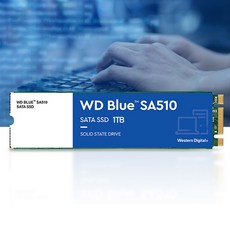 SA510M21TB 노트북 부족한 저장공간 확장 WD BLUE M.2 SATA방식 SSD 1TB