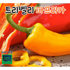 a03fb2fb0b10f989f1a257976a3d04373d62cc09f1d0389ee74a4e405cb7.png