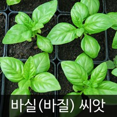 7d8ed171371ac94558fa9503b2cb8bf0e2ab2f325f4b0bdedce2805acb59.jpg