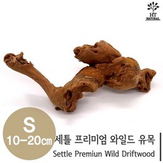 세틀 프리미엄 와일드 유목 S 10~20cm 어항 수족관 활착 유목 장식 은신처, 1개