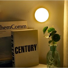 led스마트센서등