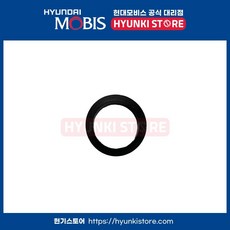 가스켓오일 레벨플러그 (452853B010), 1개