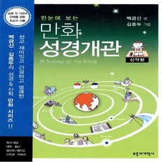 NSB9788960920057 새책-스테이책터 [한눈에 보는 만화 성경개관 신약편]-부흥과개혁사-백금산 지음-일러스트성경-20070201 출간-판형, 한눈에 보는 만화 성경개관 신약편