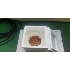 슈퍼밀웜 겨울철필수 보온포장, 보온포장(1000마리 이하 선택), 1개
