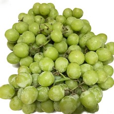 b689922f87490590c87af95069d0d951dd6582565b99ed292a7c07bd128e.jpg