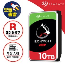 [ 씨게이트 공식스토어 ] 아이언울프 나스 하드디스크 Ironwolf NAS HDD 기업용 하드디스크, 10TB (10테라바이트) - 나스하드디스크