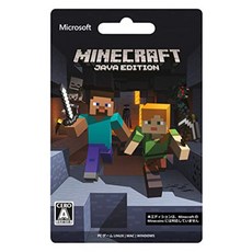 마인크래프트 에디션 Minecraft Java Edition, 단일 옵션