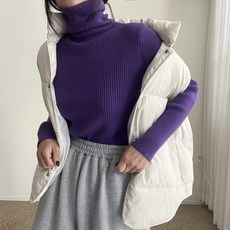 에이치스 쥔장갠소 비비드 도톰쫀쫀 골지폴라 니트티