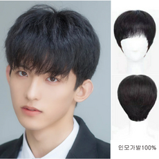 남자통가발인모100