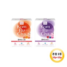 쟈뎅 아워티 콤부차 자몽10P + 베리10P, 상세 설명 참조, 상세 설명 참조