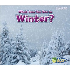 (영문도서) What Can You See in Winter? Paperback, Heinemann Educational Books, English, 9781484603567