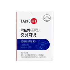 락토핏솔루션중성지방