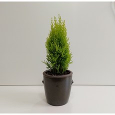 백년옹기