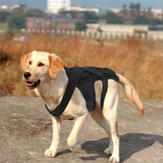 강아지 허리 보호대 노견 하네스 대형견 소형견 벨트 중형견 재활 반려견 애완 동물 디스크 애견 보조기, L 사이즈 (10-16kg), 1개
