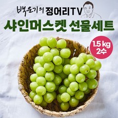 [추석선물 정어리TV 이채양명주] 당도 보장! 경북 샤인머스켓 추석 선물세트 1.5kg 2수 [원산지:국산], 1개