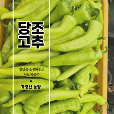 지엘음식물처리기1kg