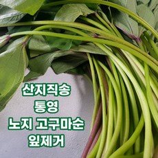 자색고구마순
