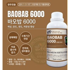 바오밥6000-1리터, 1개