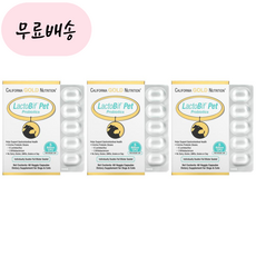  (2+1) CGN 락토비프 펫 강아지 고양이 유산균 50억 60베지캡슐 