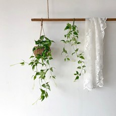 메이드모드
