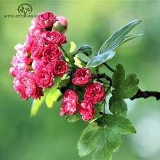7b53c6f38a261687a5a65ace8e3411eea58651fda70fb83a5c837bed64ae.jpg