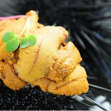 해녀작업 통영 자연산 성게알, 1개, 성게알 (생물)500g