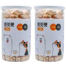 조공북어트릿