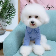 베이비도그 DT052 샤인프릴티, 라벤다
