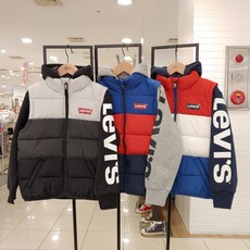 팔멕스텔라후드