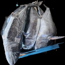 완도 대삼치 4-5kg 삼치구이 필렛 국내산 천일염 저염간, 1개