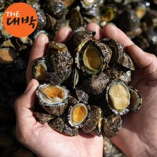 거제도 자연산 거북손 500g 배말, 1개, 배말(급냉) 500g