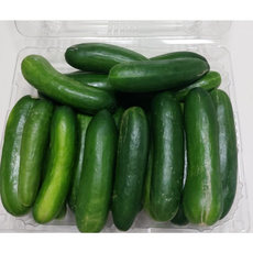 아삭한 국산 미니오이 1kg 2kg 피클용오이 미니 오이 스낵오이 피클오이 꼬마오이 피콜리노, 1개