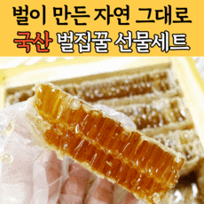 꿀보의하루