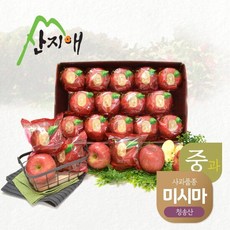 산지애 사과 3kg (1박스) / 총 12~15과 (중과)