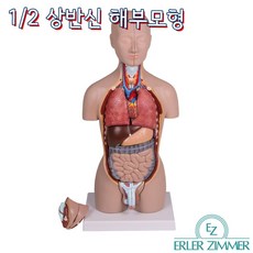 형설해부생리학2021